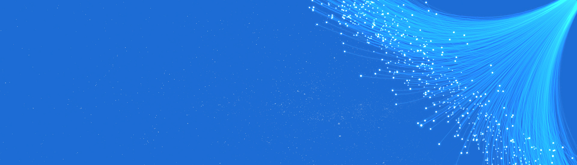 Embedded Software That