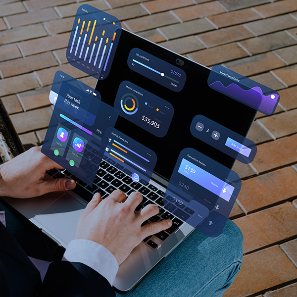 Admin Dashboards & User Portals